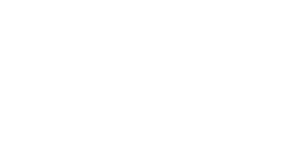 Wild Walkers